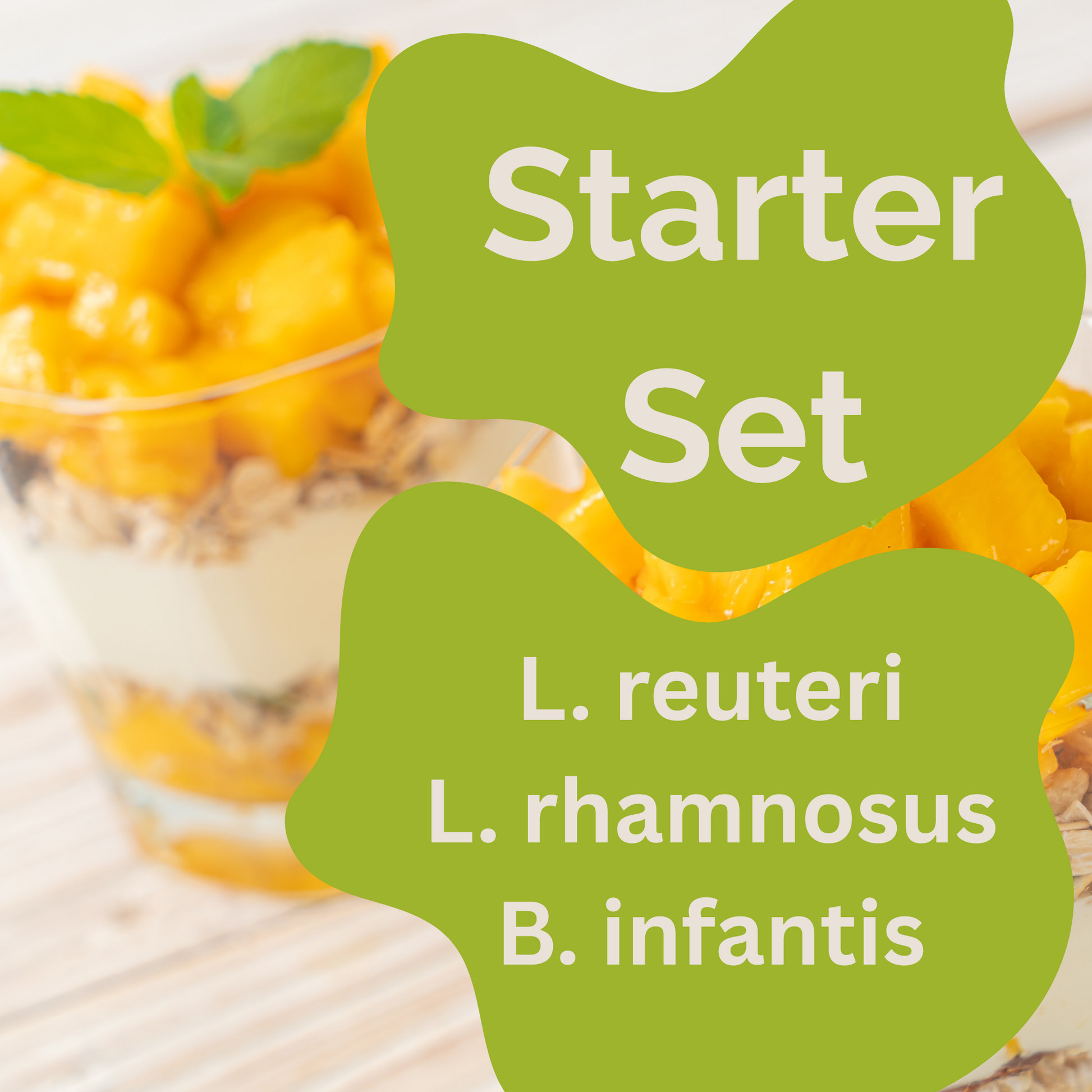 初學者套裝 L. reuteri、L. rhamnosus、B. infantis 優格 | 腸道幸福