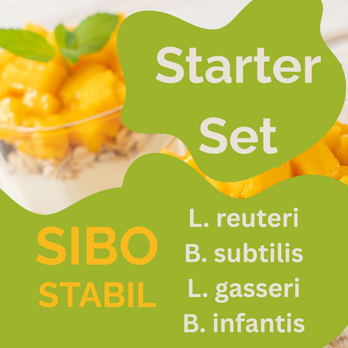 Starter-組合 L. reuteri, B. subtilis, L. gasseri, B. infantis-優格 | Sibostabil