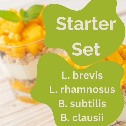 啟動套裝 L. brevis、L. rhamnosus、B. subtilis、B. clausii 優格 | 孢子平衡